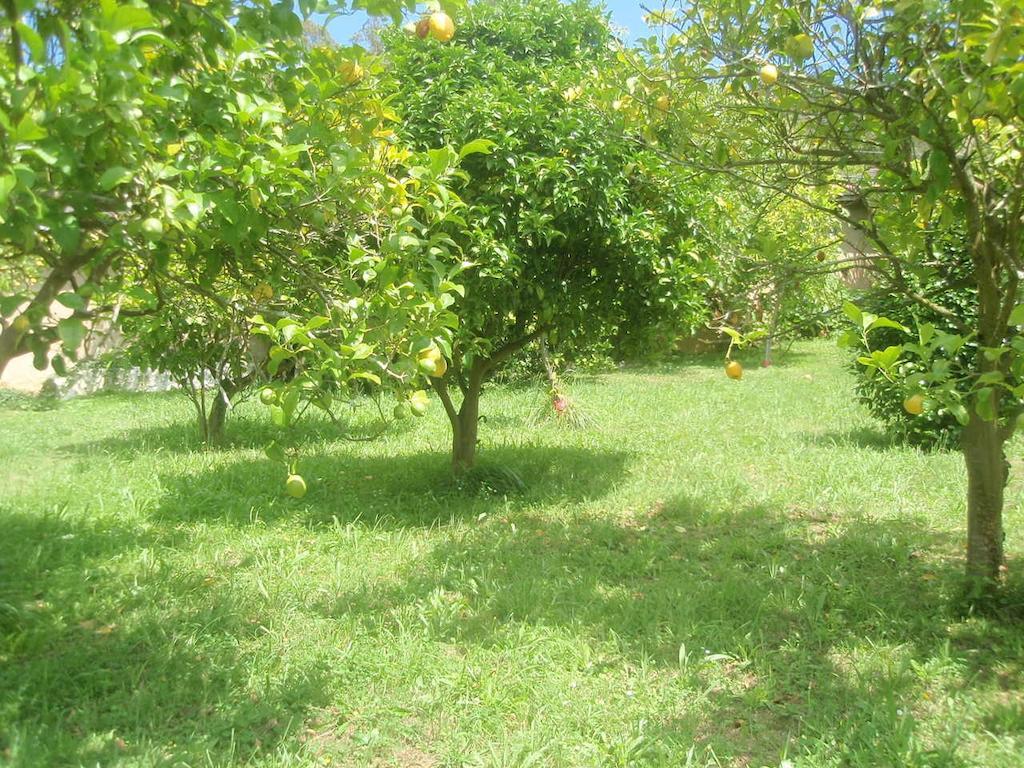 Apartamentos Arcos Del Esva ลัวร์กา ภายนอก รูปภาพ